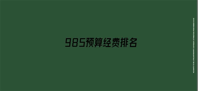 985预算经费排名